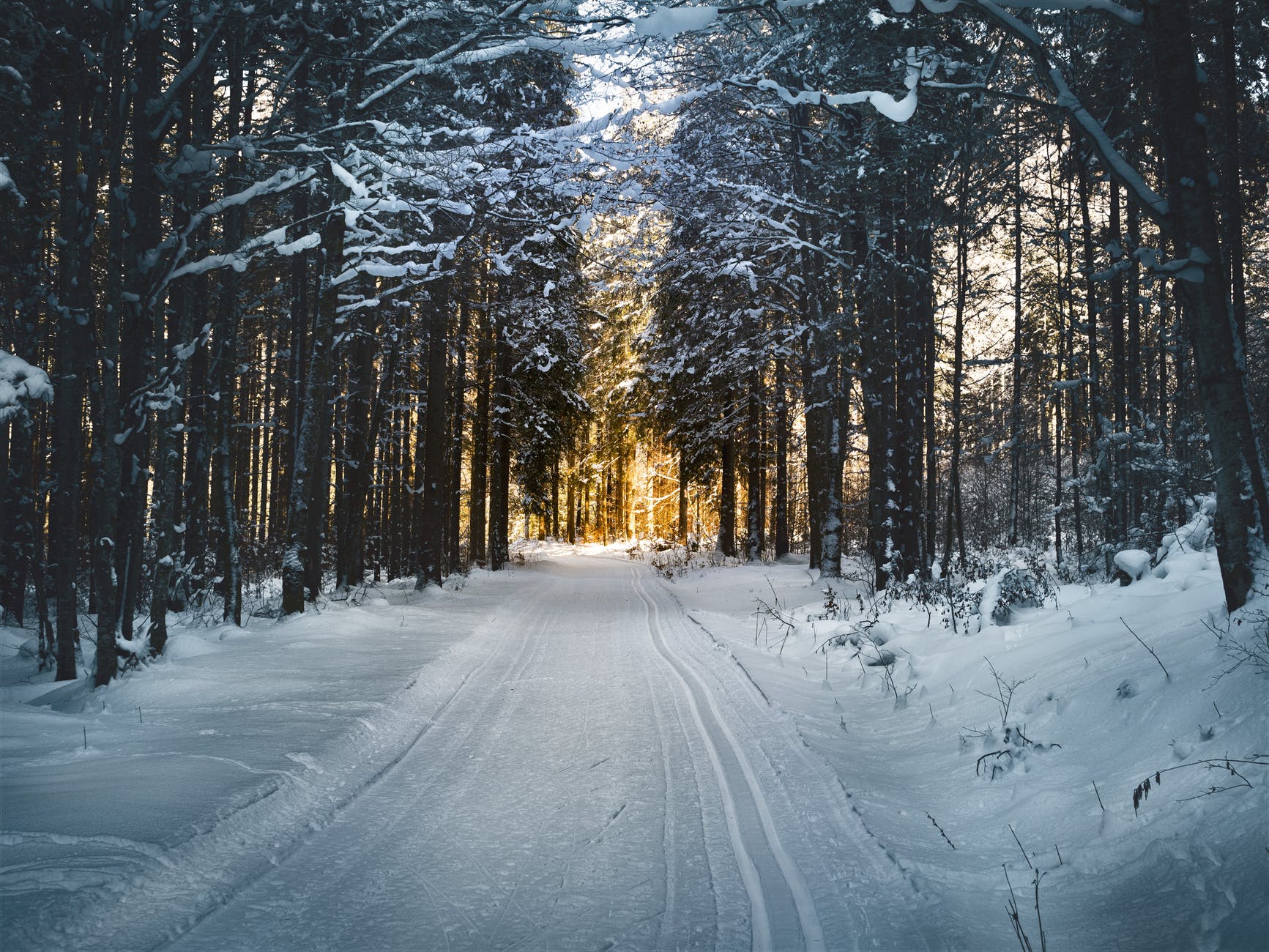 snow tires