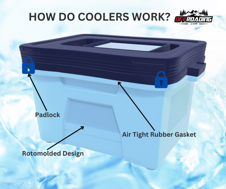 Top 4 Bear Proof Coolers Offroading 4×4 Guides & Reviews